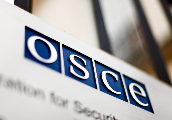 Звіт ОБСЄ OSCE