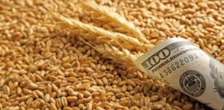 Українська агропродукція