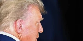 Дональд Трамп Deep State