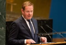 Нідерланди виділять €25 млн на відновлення енергосистеми України Глава МЗС Нідерландів Девід ван Віл