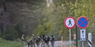 Зелені чоловічки на кордоні з Естонією