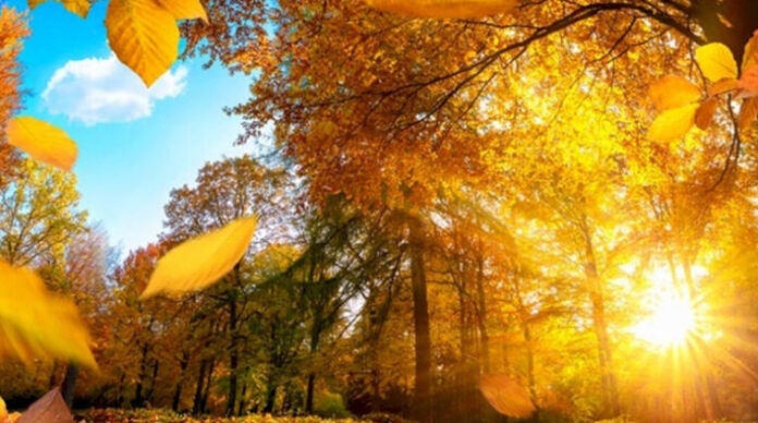 o_1gd9m656m14h23f67dg1e8g16uc1k-758x423