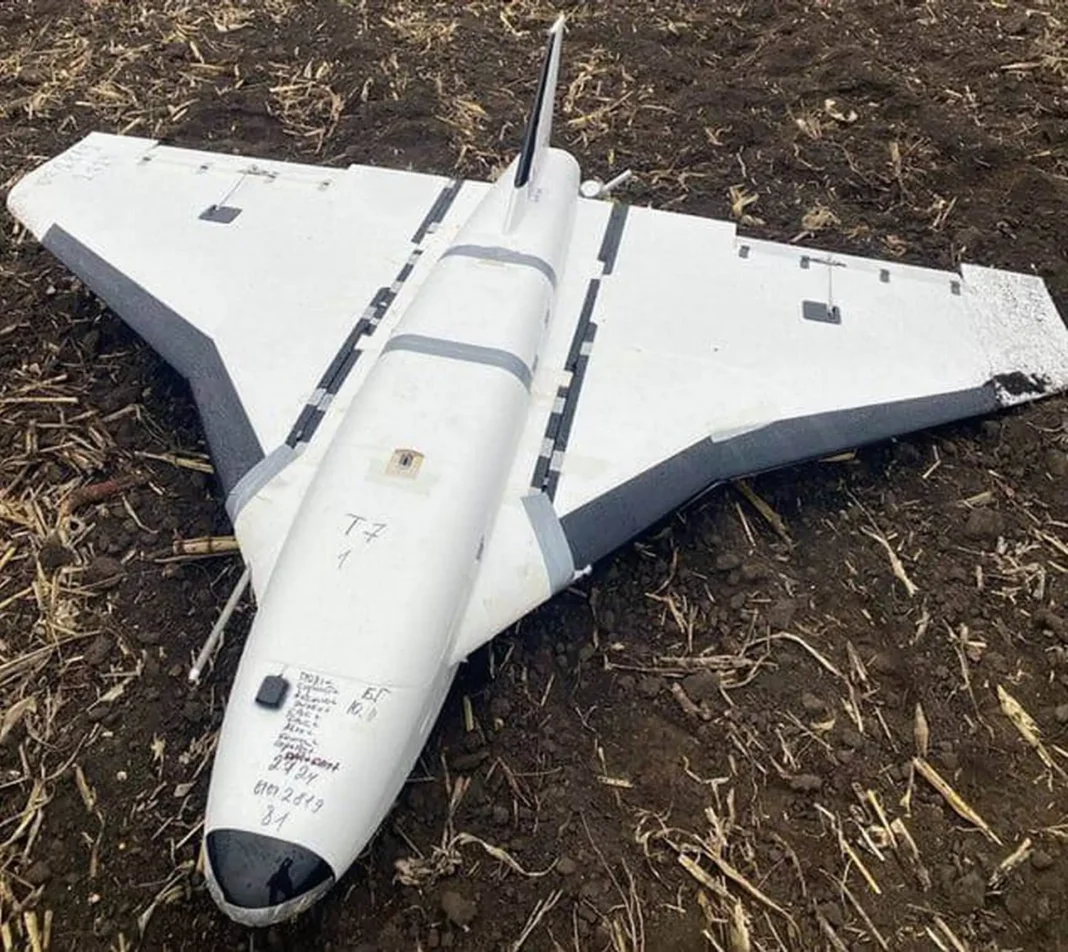 Впавший дрон Гербера