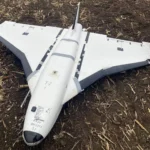 Gerberas with warheads: risk of accidental finds</trp-post-container