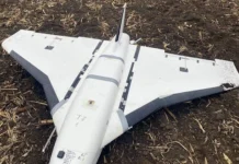 Впавший дрон Гербера