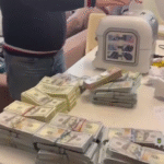 Посадовицю Держекоінспекції затримали з 46 млн грн готівки