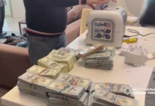 Під час обшуку у посадовиці Держекоінспекції вилучили 46 мільйонів гривень готівкою та коштовності