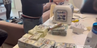 Під час обшуку у посадовиці Держекоінспекції вилучили 46 мільйонів гривень готівкою та коштовності