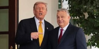 Віктор Орбан і Дональд Трамп під час зустрічі в Білому домі