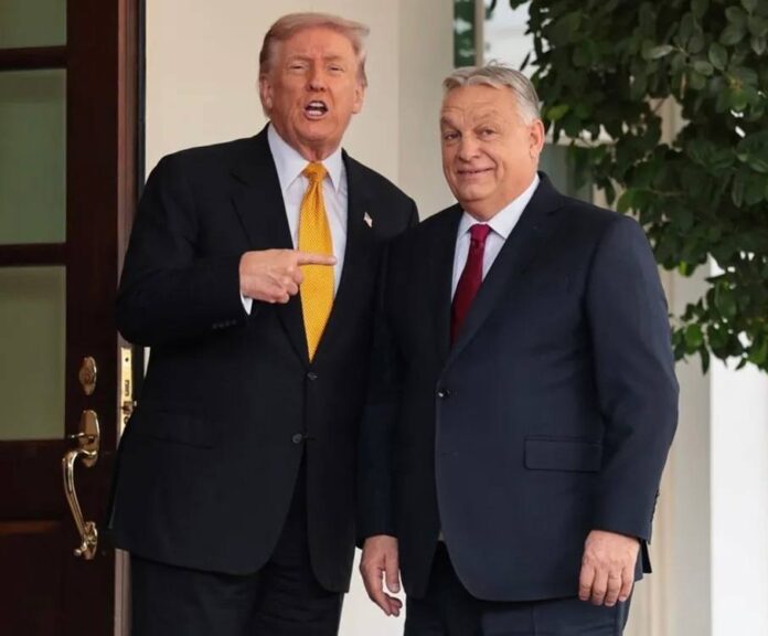 photo_2025-11-07_23-02-46 Віктор Орбан і Дональд Трамп під час зустрічі в Білому домі