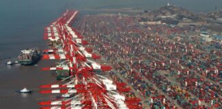 Chinese container terminal with cargo ships
