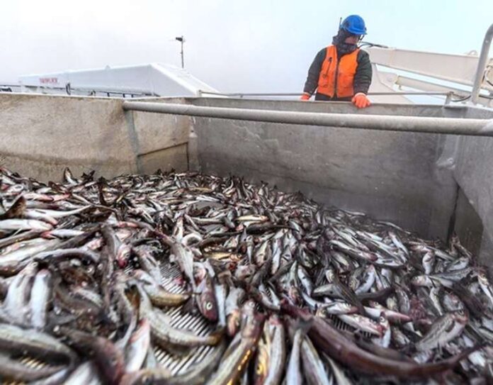 Імпорт російської риби до Європейського Союзу