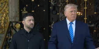 Дональд Трамп і Володимир Зеленський під час переговорів