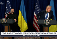 Дональд Трамп і Володимир Зеленський під час переговорів щодо мирного плану