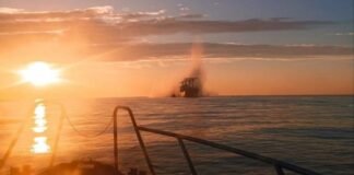 Турецьке цивільне судно VIVA у Чорному морі