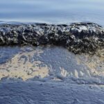 Ecological disaster recorded in Odesa</trp-post-container