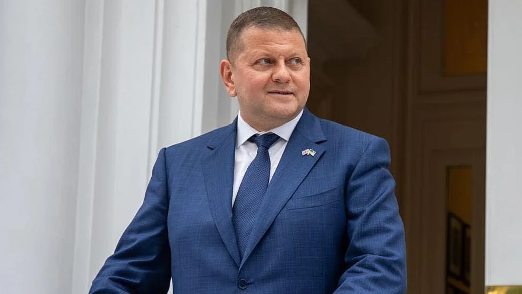 Valeriy Zaluzhnyi during an official event in the UK