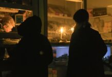 Київ графіки світло