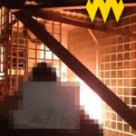 Atesh destroyed a Russian air defence communications hub in Moscow region</trp-post-container