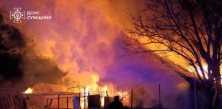 Російські удари спричинили пожежі на Сумщині Пожежа житлового будинку після обстрілу на Сумщині