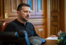 Австрія допоможе Україні пережити удари по енергетиці Володимир Зеленський під час переговорів