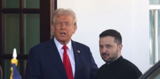 Адміністрація США обговорює створення Ради миру для України