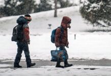 Школи можуть перейти на дистанційне навчання до 19 січня Школа взимку під час снігопаду та складних погодних умов в Україні.