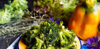 Vegetarian diet shows protective effect against cancer broccoli dish