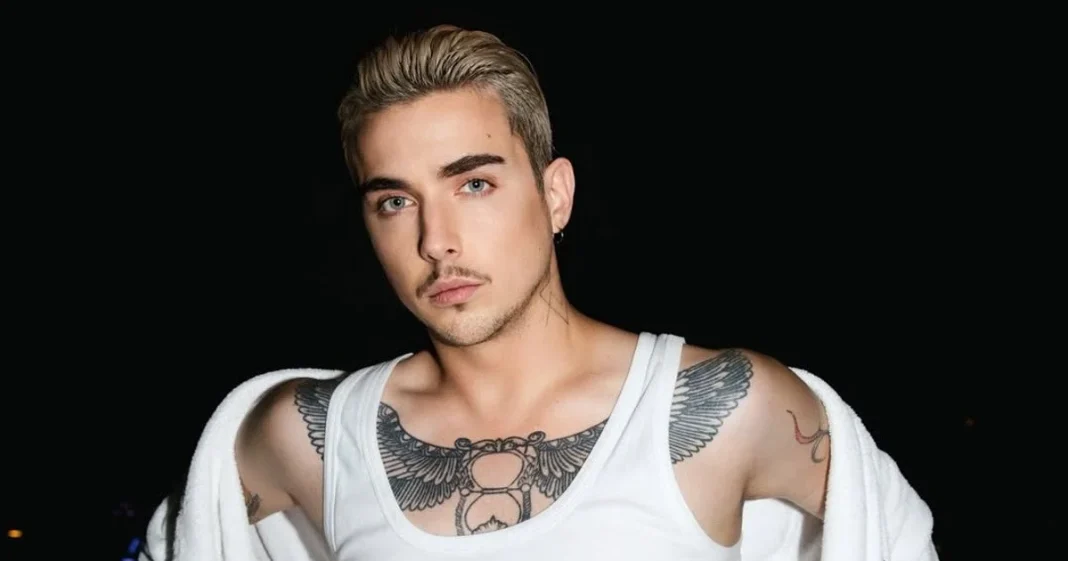 MELOVIN під час концертного виступу