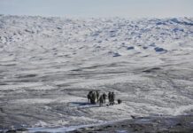 NATO troops during an operation in the Arctic