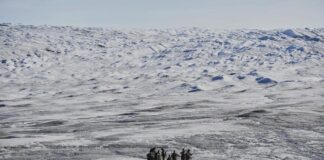 військові НАТО під час операції в арктичних умовах