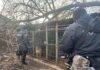 В ІЗМАЇЛІ ВИКРИЛИ РОЗПЛІДНИК ІЗ СОТНЕЮ СОБАК У БРУДІ Поліцейські перевіряють місце утримання собак у розпліднику