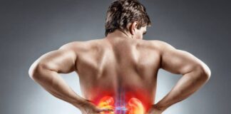 The effect of stress on the kidneys