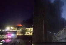 Drones strike at Russian oil: a large-scale attack Fire in the port of Primorsk after a Russian drone attack