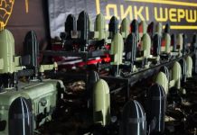 Wild Hornets дрони