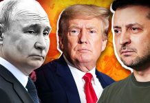 Зеленський Путін Трамп