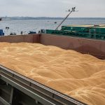 UN company buys grain from occupied Mariupol