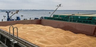 A grain terminal in the port of Mariupol, loading grain onto a ship.