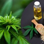 Синтетичні наркотики продавали дітям під виглядом сувенірів