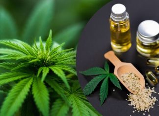 Illegal sale of drugs in Ukraine