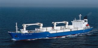 Cool Carriers судно контрабанда