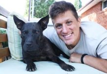 Australian creates a cancer vaccine using AI Australian entrepreneur Paul Conyngham with his dog Rosie