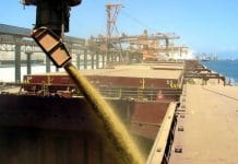 затримки російських зерновозів