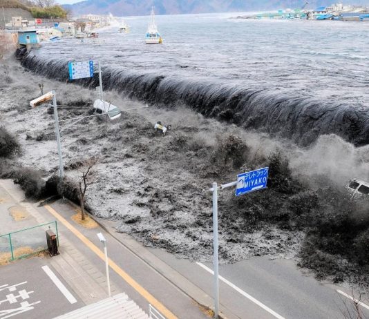 Цунамі біля узбережжя Японії