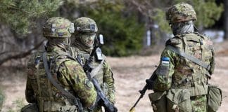 Естонія ізоляція стратегія безпеки