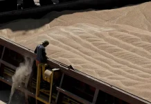 A ship with Ukrainian grain in the port of Haifa