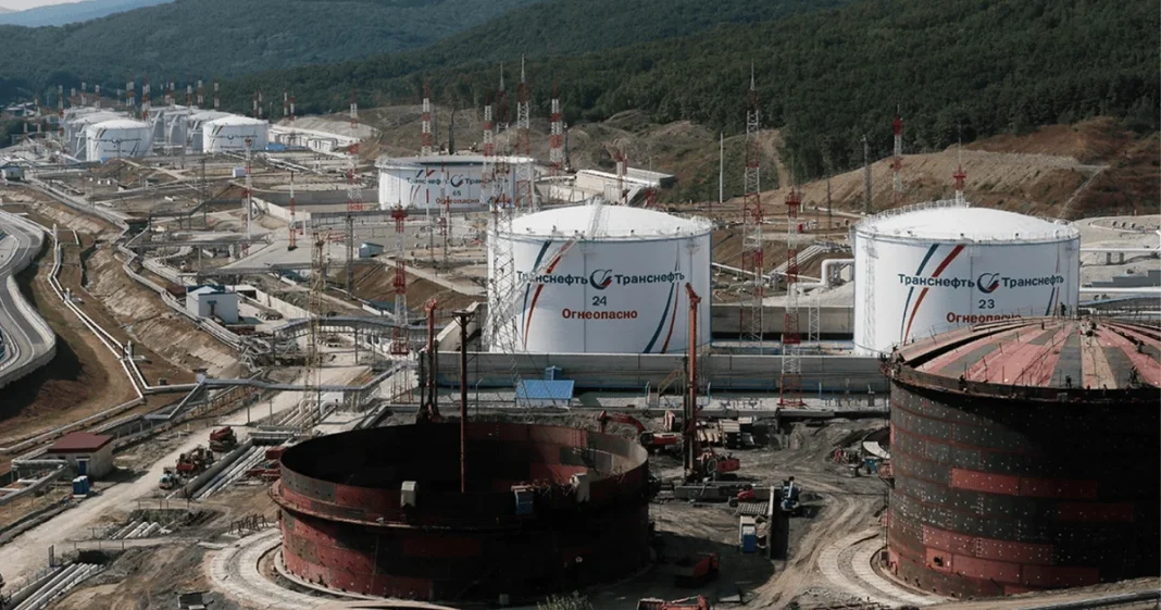 3bdf7ced4b1d0b6222de3583973f6f73 Sheskharis terminal