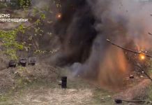 Сапери ДСНС знищують боєприпаси у лісі