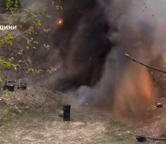 Сапери ДСНС знищують боєприпаси у лісі