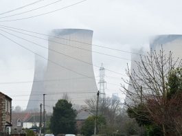 Спалювання деревини для енергії